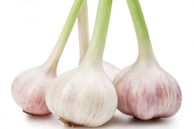 Ail nouveau frais