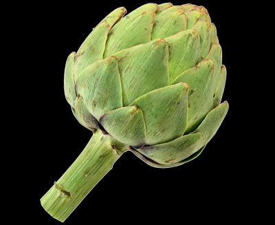 Artichaut vert