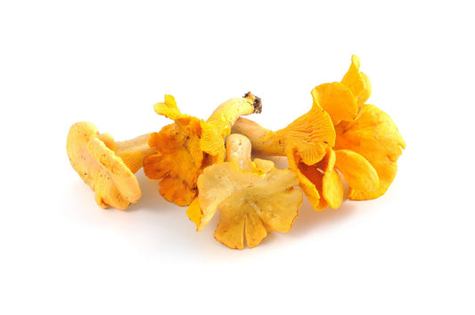 Girolles