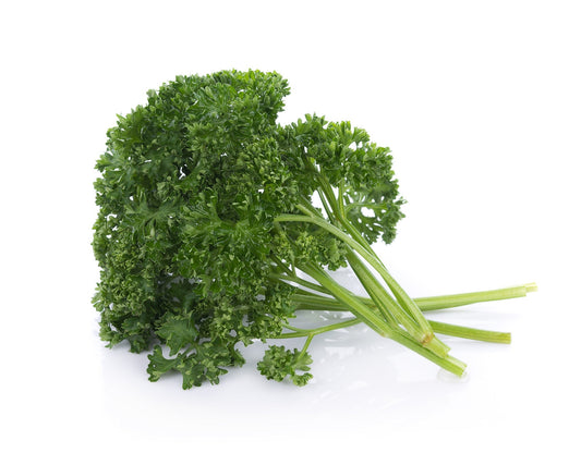 Persil bouquet frisé