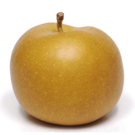 Pomme Canada 2025
