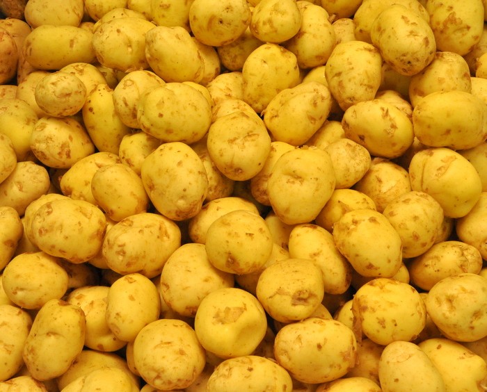 Pomme de terre de Spunta