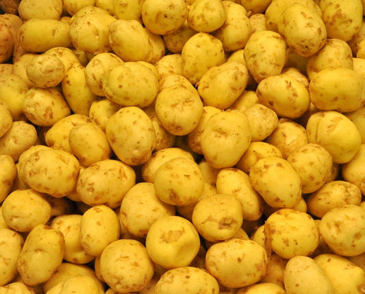 Pomme de terre de Spunta