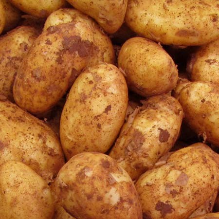 Spunta nouvelle cagette 12.5kg ( 1.99€/kg )
