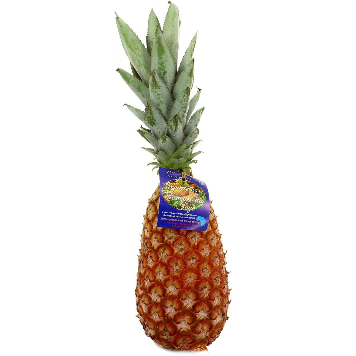 Ananas Pain de sucre