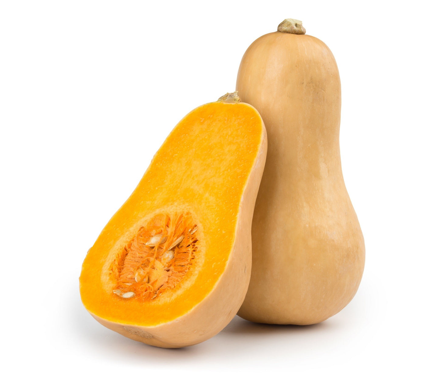 Butternut Bio
