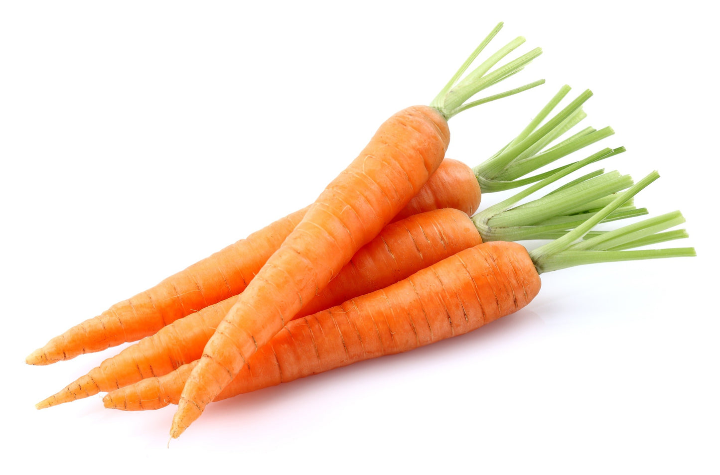 Carottes nouvelles