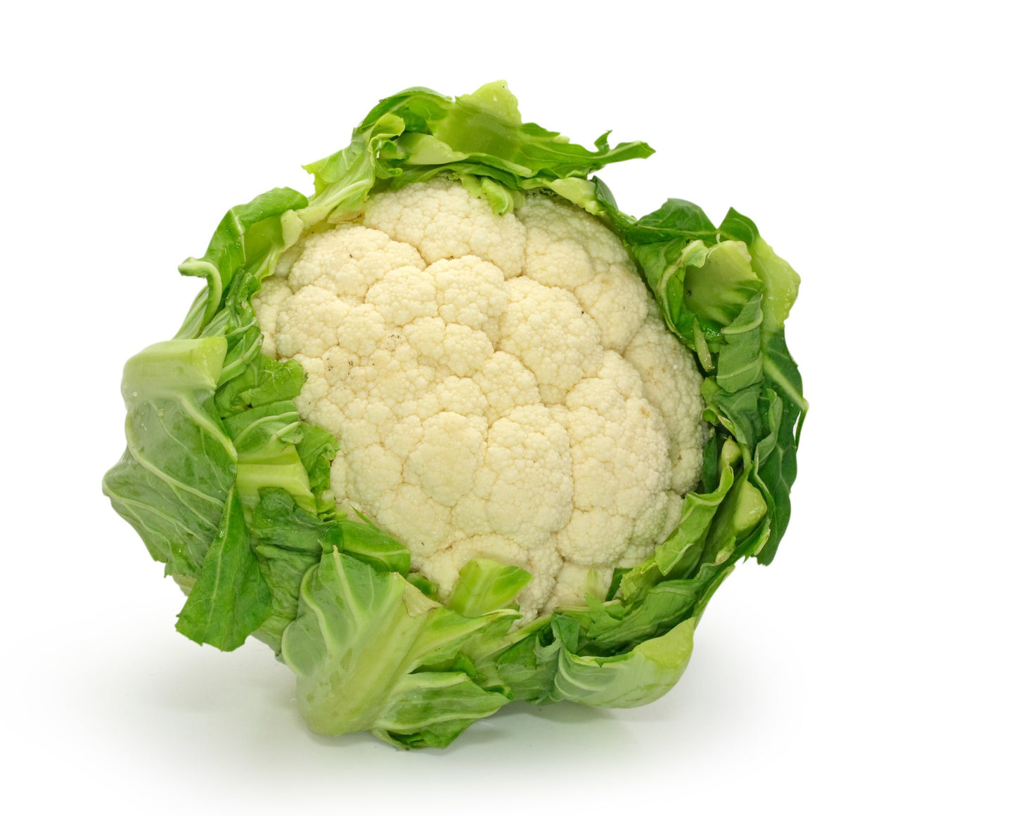 Chou fleur Bio