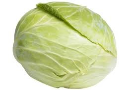 Chou vert lisse Bio