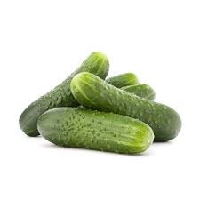 Concombre noa Bio