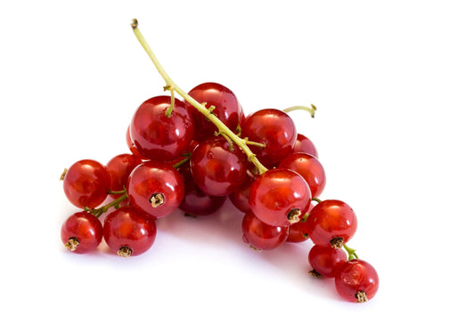 Groseille rouge