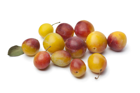 Mirabelle Bio