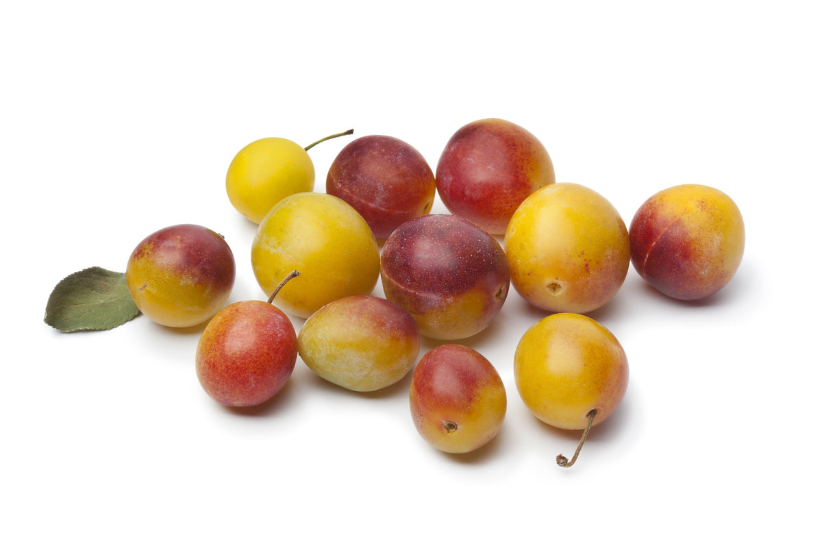 Mirabelle