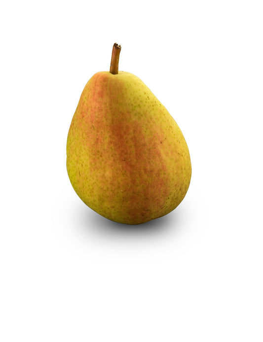 Poire Celina QTEE