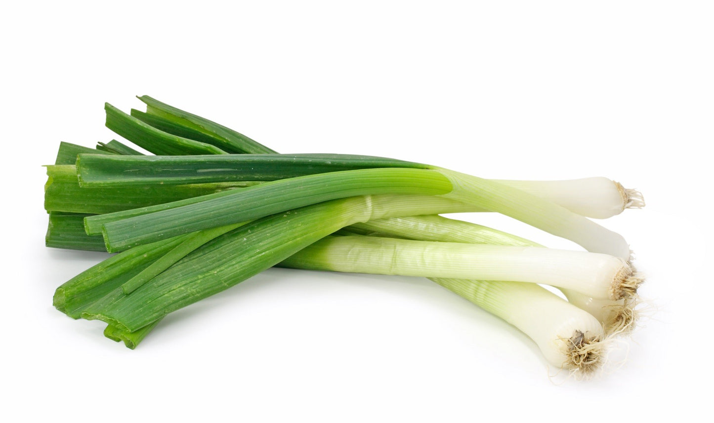 Poireaux Bio
