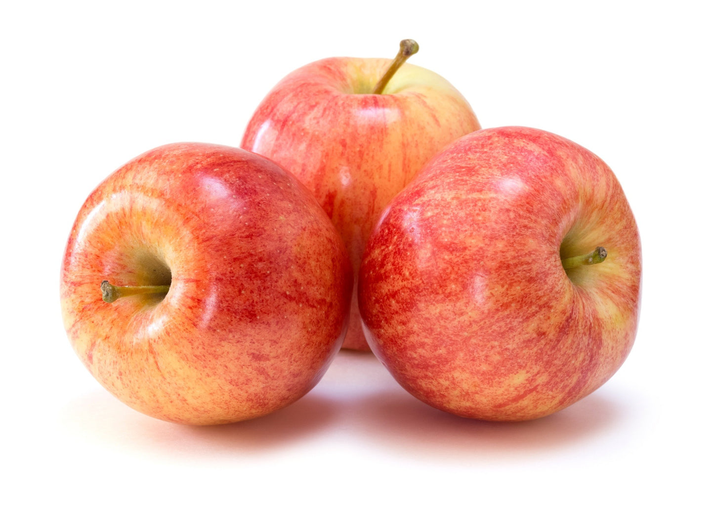 Pomme de moisson Akane