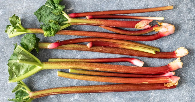 Rhubarbe