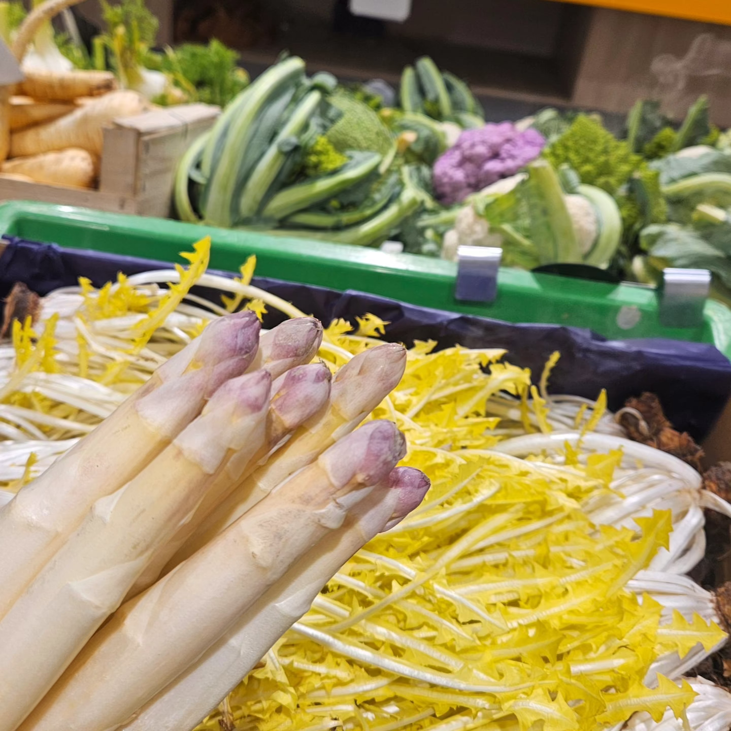Asperge Violette