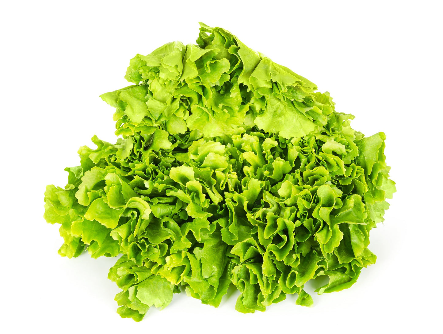 Salade BIO Fallerans
