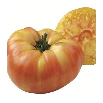 Tomate Ananas