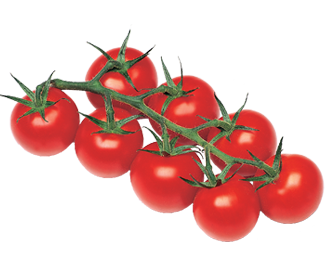 Tomate cerise BIO